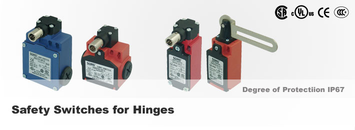 Safety Switches for Hinges Lids